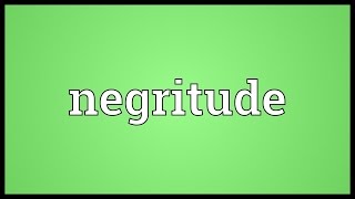 Negritude Meaning [upl. by Glasgo712]