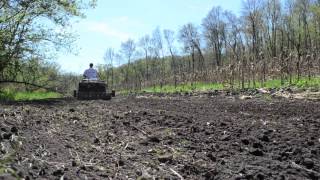 Deer Food Plots in Seven Easy Steps  Tractor Supply Co [upl. by Adyl613]