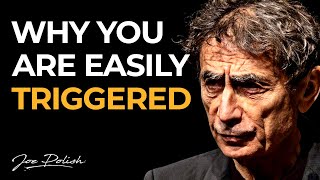 How to understand amp heal your trauma  Gabor Maté [upl. by Aikemehs]