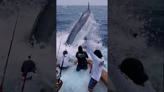 Giant Swordfish Caught by Fishermen 🦭🦈🐙🪸 giantcreature deepseafishing [upl. by Ayikan]