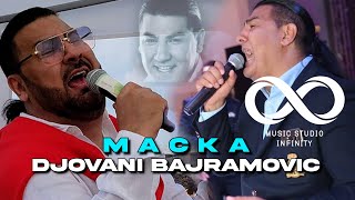 DJOVANI BAJRAMOVIC  MACKA OFFICIAL AUDIO [upl. by Anastasia]