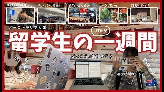 留学Vlog15  リアルな留学生の一週間を撮ってみた 〜オーストラリア留学、海外大学〜 [upl. by Ringler]