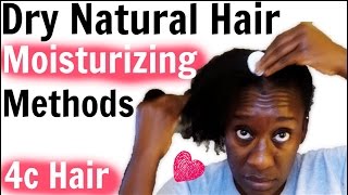 Moisturizing Dry 4c Natural Hair amp Oiling Scalp Retaining Moisture LOC Method [upl. by Nemzzaj20]