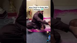 Maan dogar Dubai with kabootar Bazi rajabfamily explore viralvideo [upl. by Attalanta]