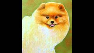 Pomeranian Miniature Painting Step by Step [upl. by Sharona789]