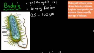 SB33 Prions bacteria virus  fungi  protozoa macroparasites HSC biology [upl. by Ahseena]