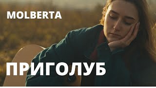 MOLBERTA  Приголуб Official Music Video [upl. by Akeinahs]