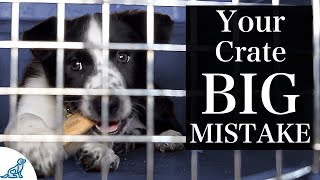 The BIGGEST Mistake People Make With Crate Training A Puppy [upl. by Refotsirc]