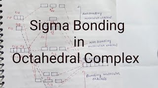 Sigma bonding in Octahedral complex  MSc ligand filed Theory [upl. by Angrist705]