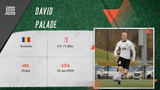 🇷🇴 David Palade  Romania NT  Targetman Striker Highlights [upl. by Ragg]