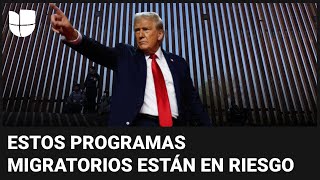 Victoria de Trump amenaza varios programas migratorios te contamos cuáles y qué se puede esperar [upl. by Nylorak]