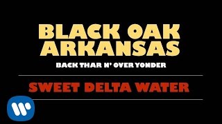 Black Oak Arkansas  Sweet Delta Water Official Audio [upl. by Htennek]