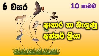 6 වසර විද්‍යාව 10 පාඩම  Grade 6 science lessons Unit 10  ආහාර හා බැඳුණු අන්තර් ක්‍රියා [upl. by Elton]