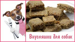 ВКУСНЯШКИ ДЛЯ СОБАК СВОИМИ РУКАМИ  ГОТОВИМ СОБАЧЬИ ЛАКОМСТВА В ДОМАШНИХ УСЛОВИЯХ [upl. by Xxam351]