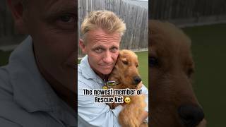 Dr Scott adopts a dog 🥹🥲Welcome Mango the newest member of Rescue Vet ❤️ rescuedog shorts [upl. by Eckmann]