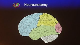 Living With Traumatic Brain Injury [upl. by Hitchcock]