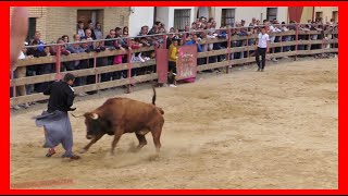 LUCENI  ZARAGOZA  TARDE VACAS PLAZA  DOMINGO 30 ABRIL 2023  GANADARRIAZU [upl. by Carlita3]