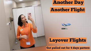 A Layover Vlog V49 explorepage cabincrew travel vlog akasaair minivlog cabincrew viral [upl. by Atikan598]