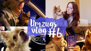 Ungültiger Pass Zwangsstopp in Frankreich ohne Jimmy UMZUGSVLOG 6 [upl. by Ruhtra]