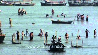 Devotees paying obeisance and taking holy dip in Sangam during Maha Kumbh [upl. by Ydnak568]