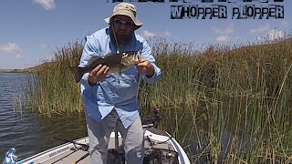 Product Review River2Sea Whopper Plopper 130 amp 190 [upl. by Nettle]