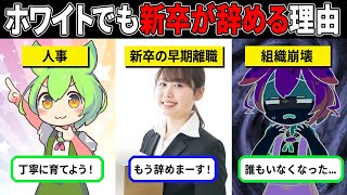 【新卒の傾向】働きやすい組織でも辞めてしまうその理由とは【ゆっくり解説＆ずんだもん】 [upl. by Winnick599]