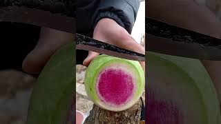 Star apple fruitxuhuong trending youtubeshorts subscribe [upl. by Atnima672]