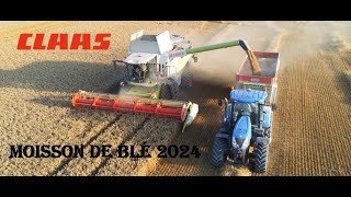 Moisson Blé 2024 avec une LEXION 6600 dans la marne [upl. by Namara727]