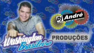 Washington Brasileiro remix Dj André [upl. by Clovis]