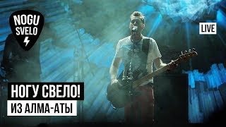 Ногу Свело  Из АлмаАты Live [upl. by Enohs]