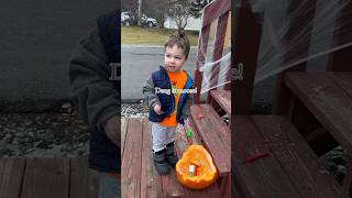 This little boy found out his pumpkin eaten by a moose 😂🎃 sweetakmama [upl. by Etsyrk]