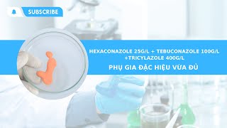 Thuốc trừ bệnh  Hexaconazole 25gl  Tebuconazole 100gl  Tricyclazole 400 gl Diệt sạch nấm bệnh [upl. by Arlette970]