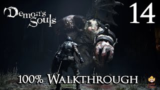 Demons Souls Remake  Walkthrough Part 14 Upper Latria 32 [upl. by Tterej261]