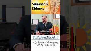 Impact of Summer on Kidneys  Kidneys or Garrmiyan  summershorts kidney [upl. by Arita]