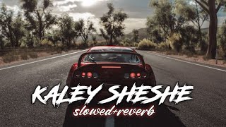 Kaley Sheshe Addy Nagar Slowed Reverb [upl. by Anitserp994]