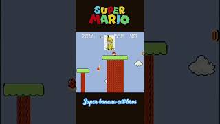 Super banana cat bros NES famicom mini  super mario bros [upl. by Lucky]