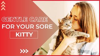 Quick Remedies to Make Your Arthritic Cat More Comfortable [upl. by Mapes]