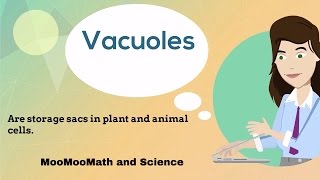 VacuolesCell Organelles [upl. by Ellatnahc]