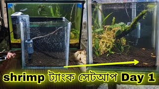 নুতুন চিংড়ি ব্রিডিং ট্যাংক সেটআপ  NEW SHRIMP BREEDING TANK SETUP [upl. by Rabush]