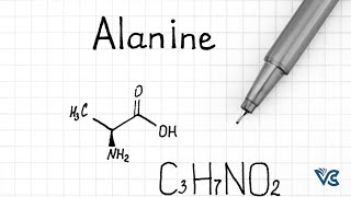 Alanine Amino Acid alanine protein biomolecule podcast aminoacids biomolecules protein [upl. by Irvine]