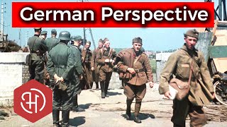 How Germans Perceived the War on the West and the Fall of France 1940 [upl. by Tedda824]