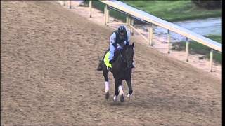 Itsmyluckyday gallops at Churchill Downs 42913 [upl. by Brost]