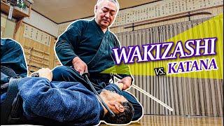 How Samurai Actually Fought with Wakizashi Short Katana [upl. by Garap443]