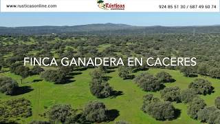 Finca ganadera de 700 ha Cáceres [upl. by Alarise855]