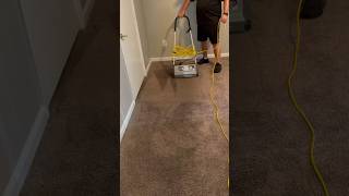 Carpet “CRB Action” cleaning in Columbus GA jetstreamclean dirtycarpets 100 impact shorts [upl. by Anoel576]