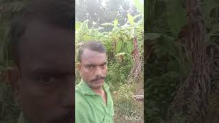 Thande kodiso seere kannada song Dr Raaja kumaare [upl. by Nylehtak]