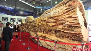 Zheng Chunhui Longest continuous wooden sculpture in the world [upl. by Acinoreb]