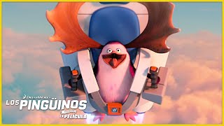 ¿Los pingüinos pueden volar  DreamWorks Madagascar en Español Latino [upl. by Genia25]