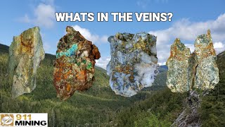 We Analyzed Four Mineral Veins For Gold Content [upl. by Edaw]