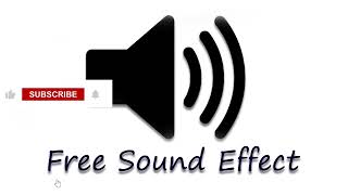 Record Scratch sound effect Free Sound Effect [upl. by Eislel]